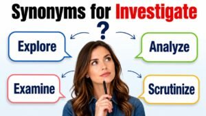 synonyms for investigate