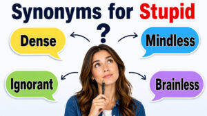 Synonyms for Stupid