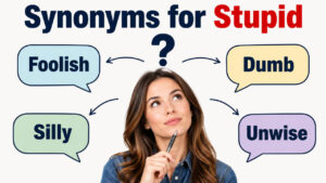 Synonyms for Stupid